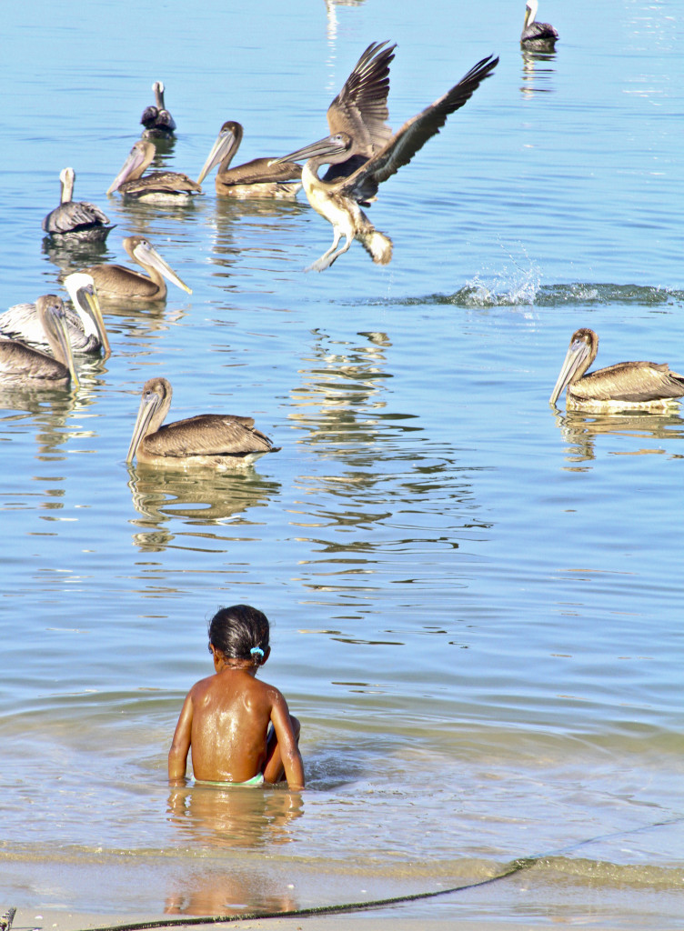 juan griego, margarita island, vbenezuela, girl in water with birds