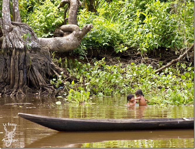warao boys playing in water, orinoco delta, venezuela, water, jungle, river, swamp, wooden canoe in water, la gringa photos