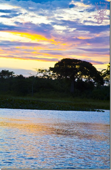 sunset over the water, water, nature, venezuela, evening sky, sunset, orinoco delta, river, swamp