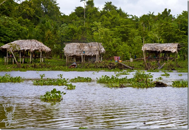 warao houses in the orinoco delta, river, houses on the river, indigenous homes, water, venezuela, landscape, going nomadic, la gringa photos