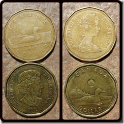 canadian money, the looney, the loony, one dollar, one canadian dollar, dollar coin, coin, 