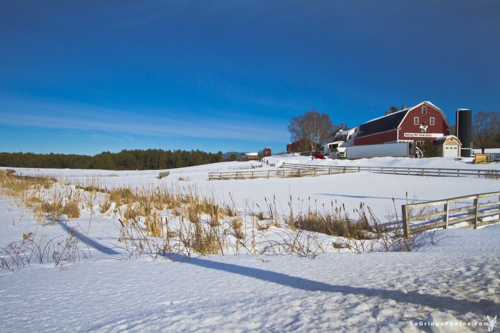 farms, maine, winter, snow, farm, smiling hill, red barn, snow fields, landscape, nature, humans, winterscape, sun, field, grass, fence, southern maine, westbrook, visitmaine