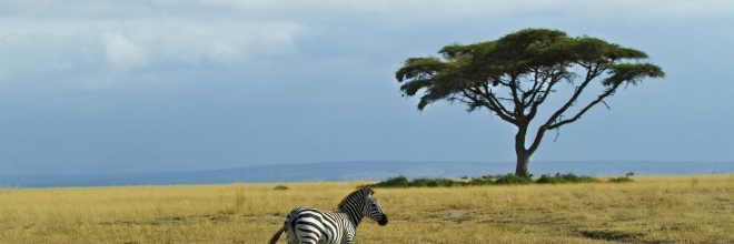 5 Things That May Surprise You About Kenya