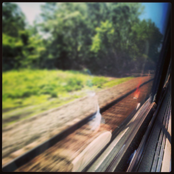 Out train window, trees out train window, looking out a window, train travel